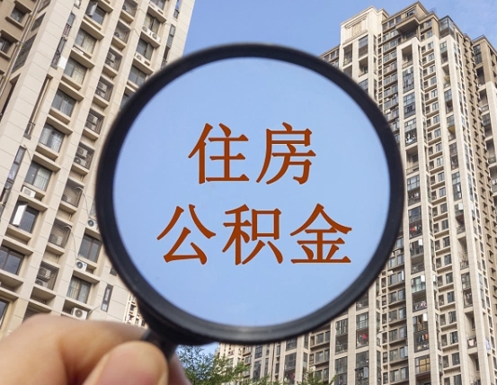 丽水退休后查不到公积金明细了吗（退休后公积金查询不到原因）
